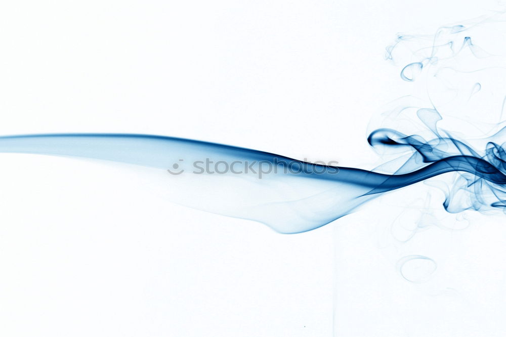 Similar – Image, Stock Photo twig with leaf, which is covered with ice rain