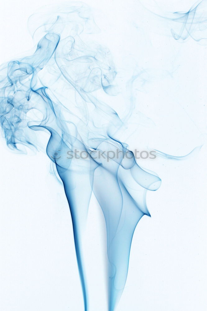 Similar – Image, Stock Photo Still Life Vase Elegant