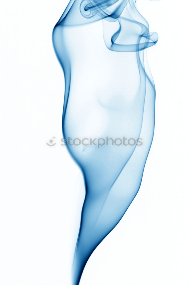 Image, Stock Photo Still Life Vase Elegant