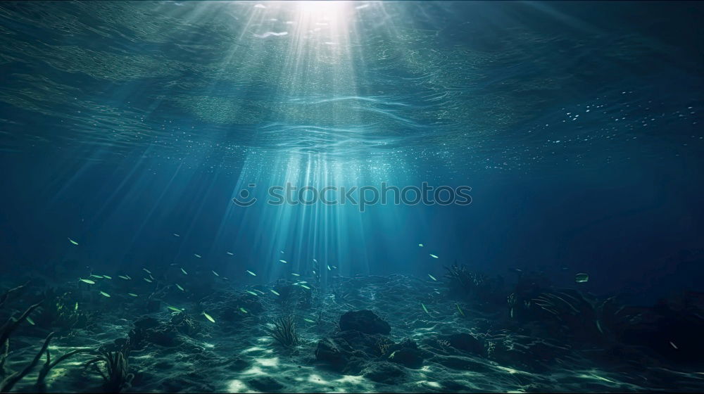 Similar – Image, Stock Photo Under & Over Aquarium