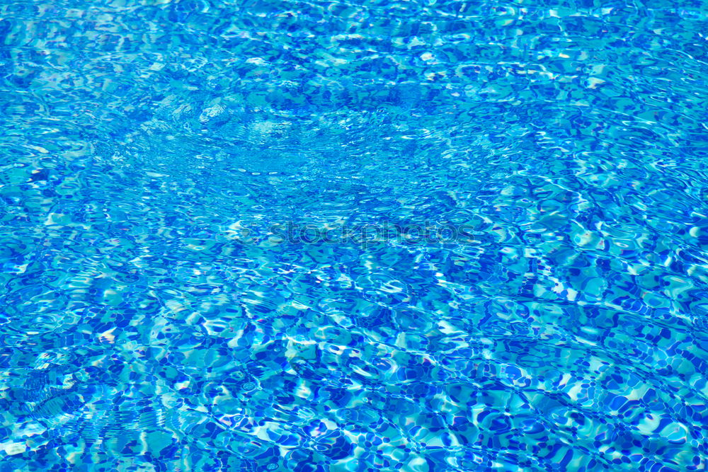 Similar – Water Swimming pool Wet