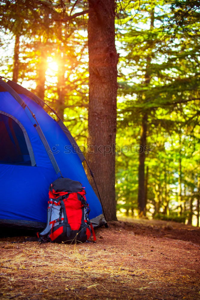 Similar – Orange tent in a pine forest