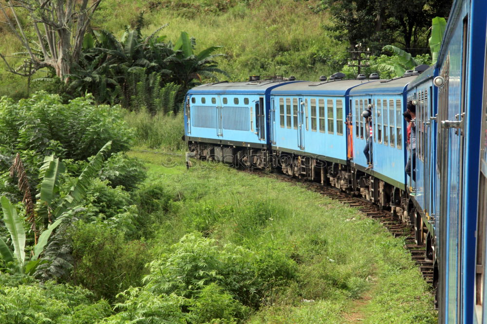 Similar – Image, Stock Photo train ride Nature