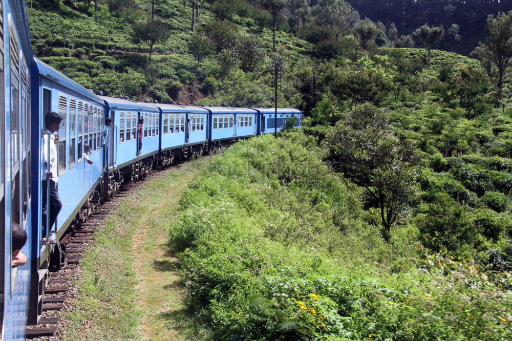 Similar – Image, Stock Photo train ride Nature