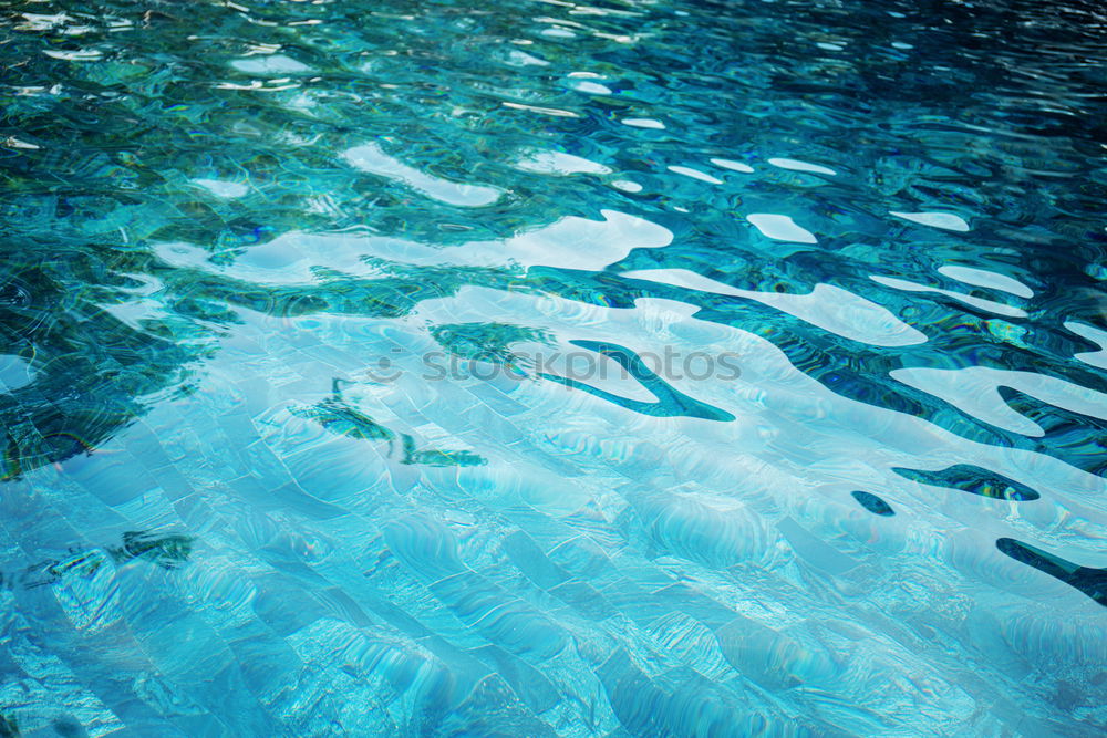 Similar – Image, Stock Photo striped fishes Nature