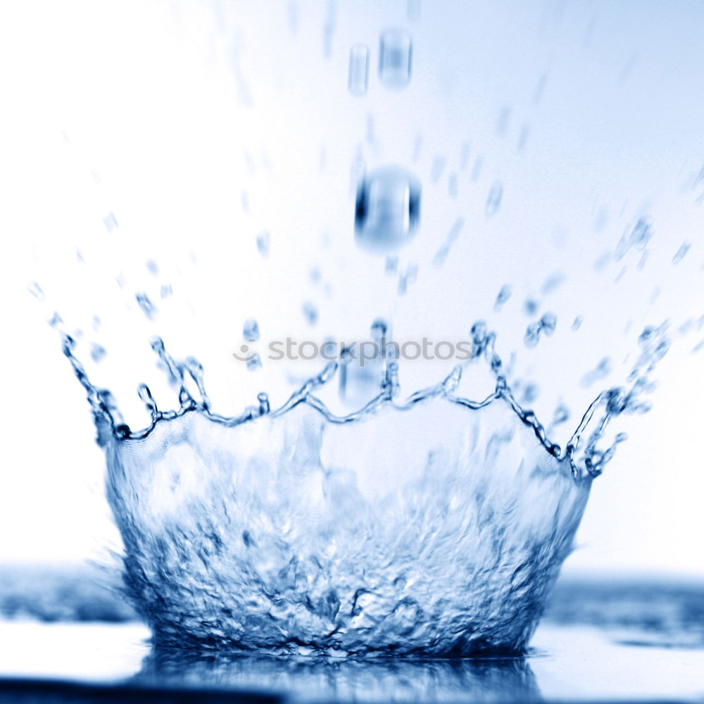 Similar – Image, Stock Photo Spring in a glass Glass