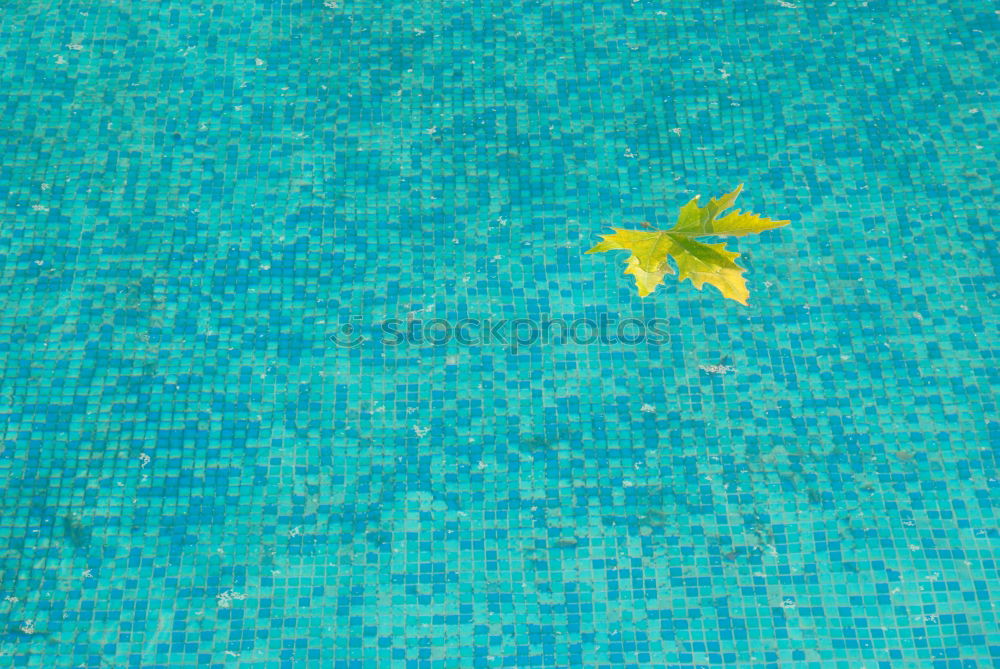 Similar – Foto Bild vergangener sommer Freibad