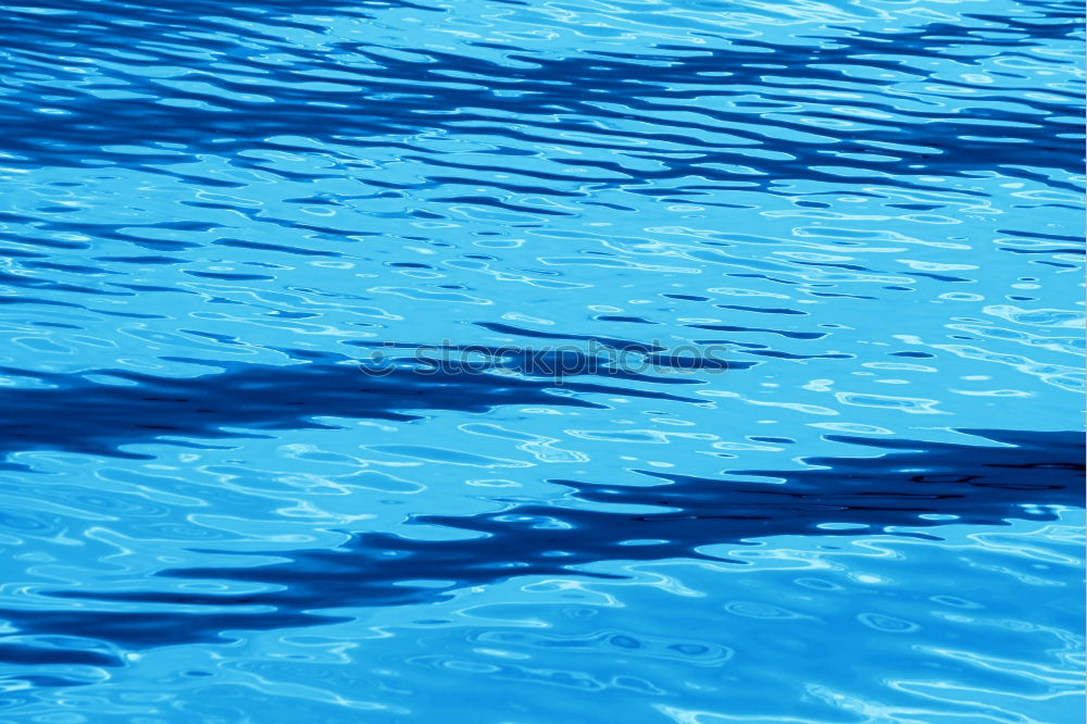 Similar – Diagonal Sommer Schwimmbad