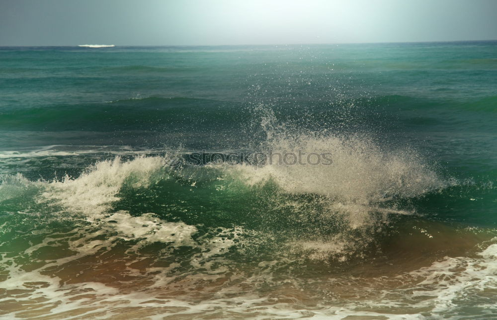 Similar – Image, Stock Photo puny /tree remains on a dune. Down the high sandy beach there are some smaller stones in front of the foaming light surf.