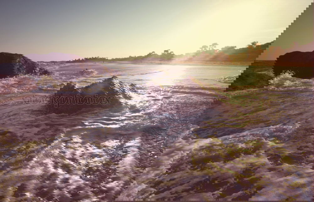Similar – Image, Stock Photo Dogs running near waving sea