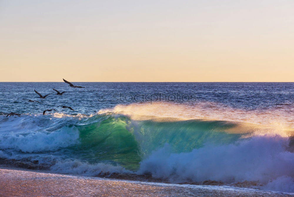 Similar – People fishing on shoreline of ocean