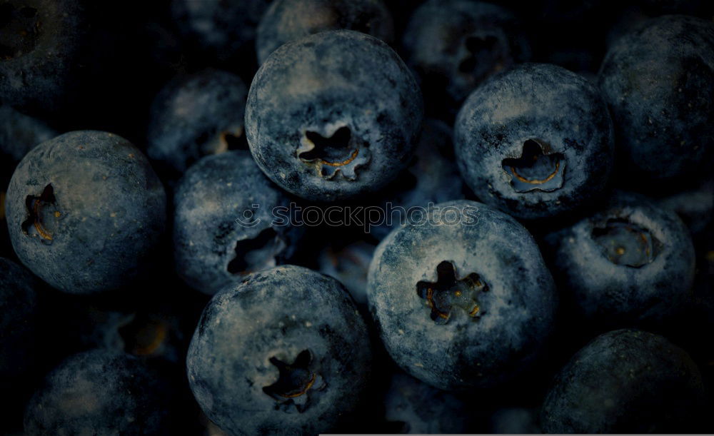 Image, Stock Photo Blueberry 2 Dried up