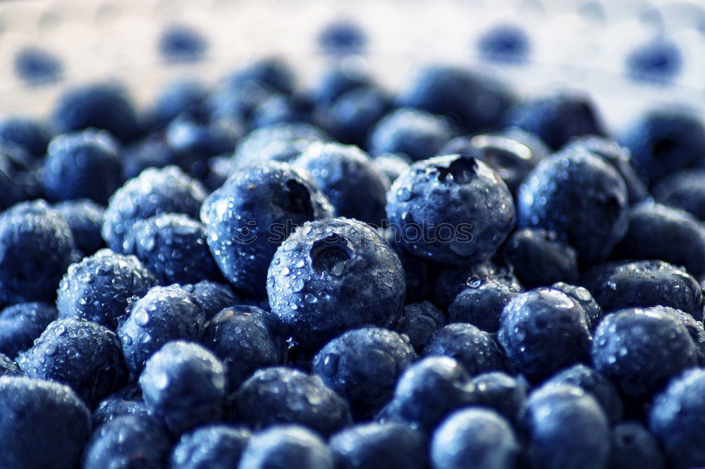 Similar – Image, Stock Photo Berries put on ice (and left in freezer)