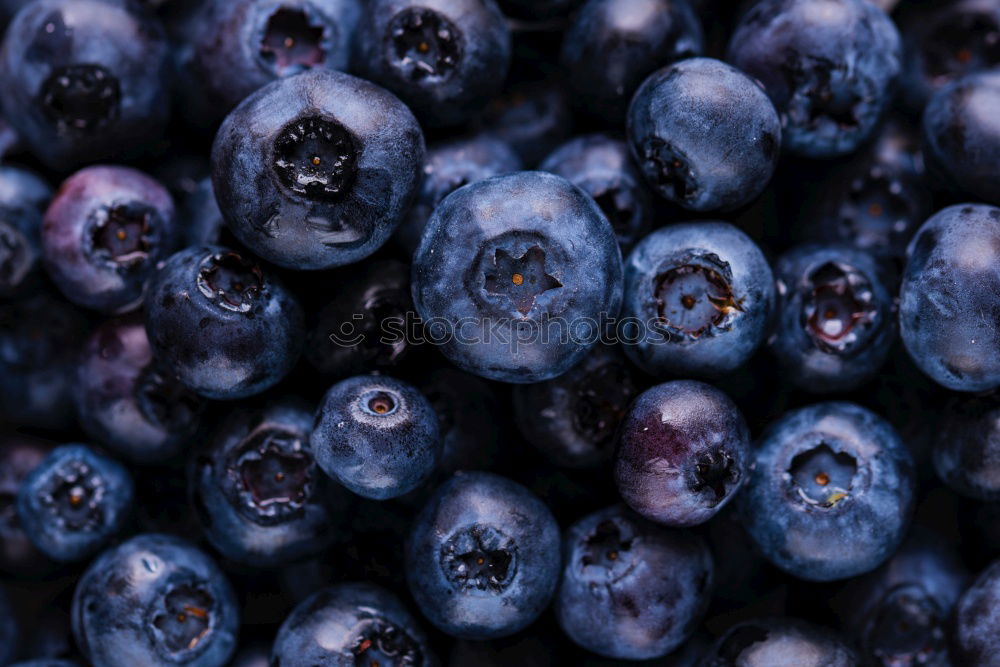 Similar – Image, Stock Photo frozen raspberries and blackberries