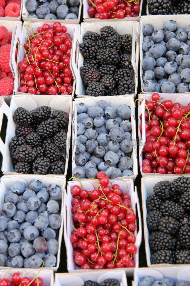 Similar – Image, Stock Photo berry collection Food