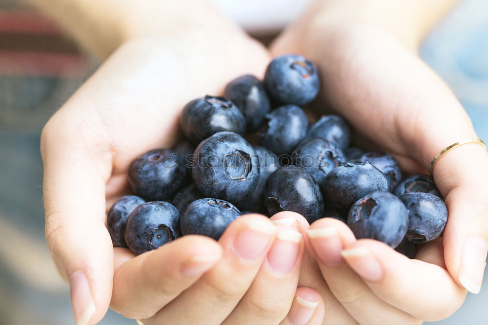 Similar – Old woman’s hands holding blackberries