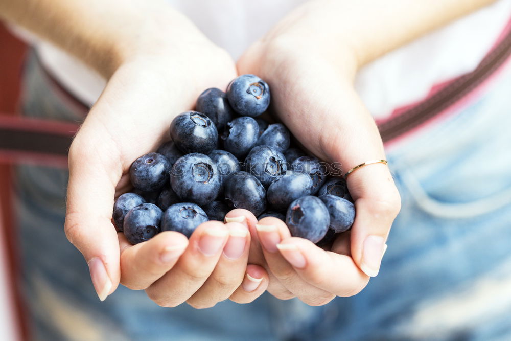 Similar – Image, Stock Photo Freshly harvested on the table