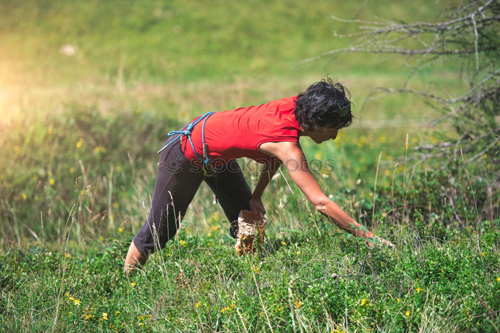 Similar – Image, Stock Photo Two supple athletic young women working out together in the countryside doing bending and stretching exercises