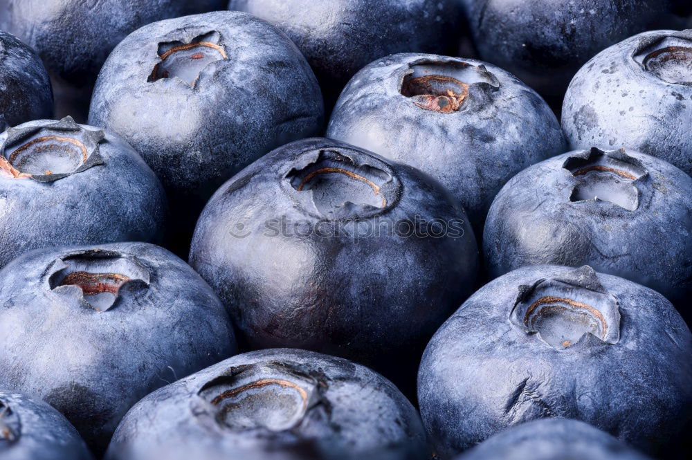 Image, Stock Photo Blueberry Background Food