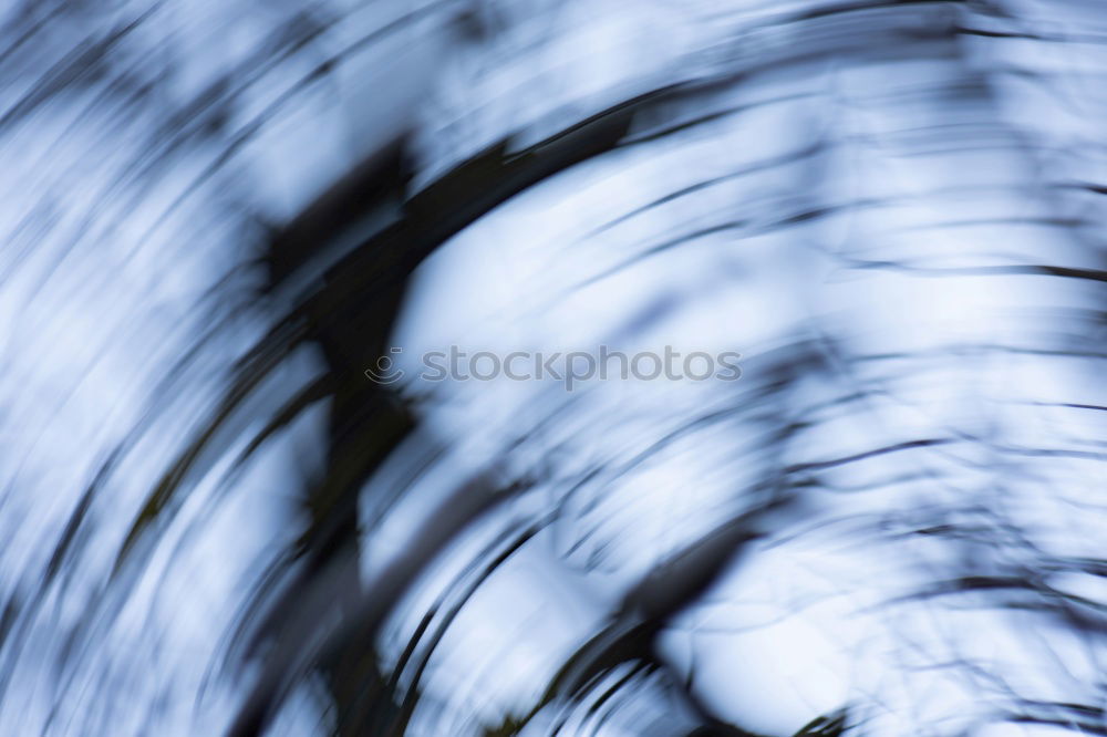 Similar – Image, Stock Photo Floral Grass