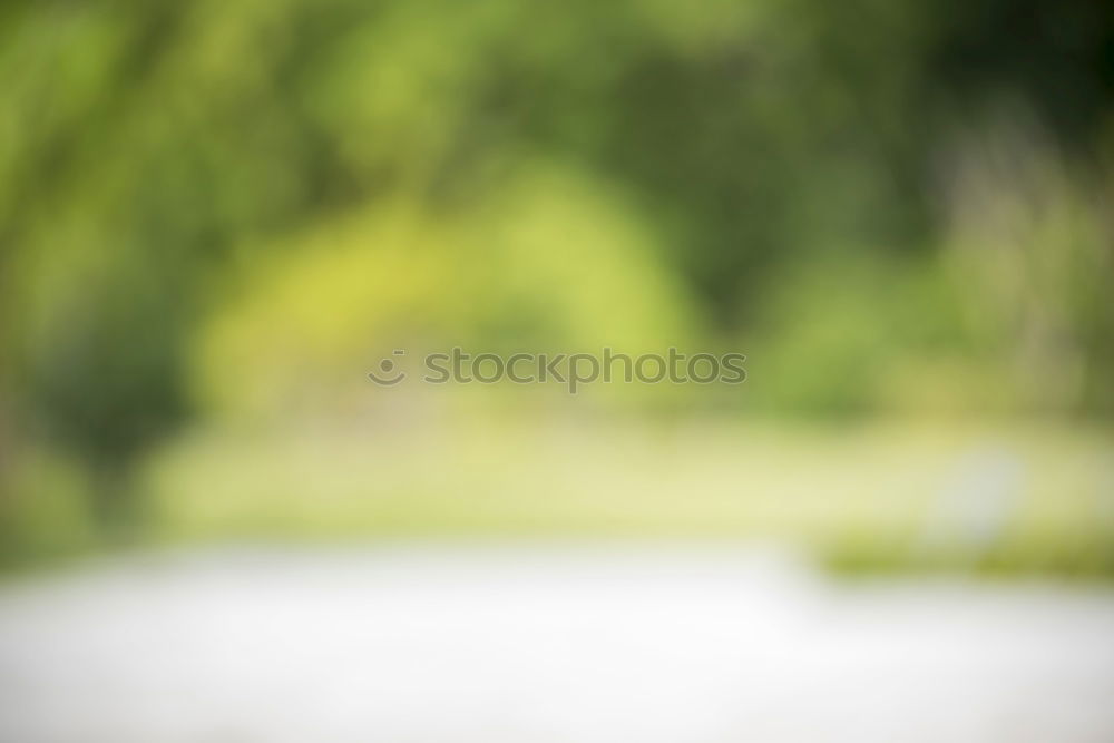 Similar – Foto Bild Regenfänger Garten