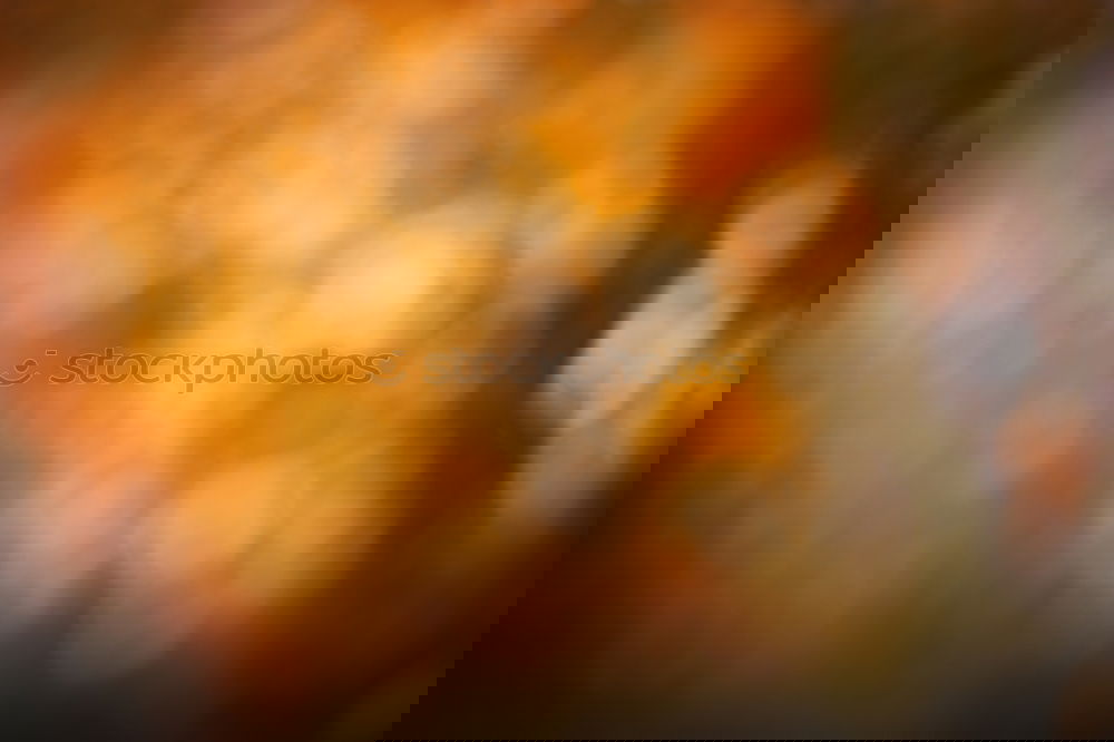 Similar – Image, Stock Photo crib Christmas & Advent