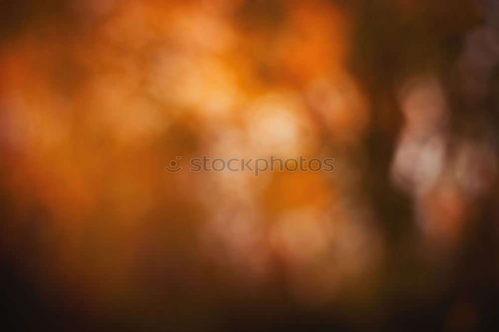 Similar – Image, Stock Photo sunbath Physics Green