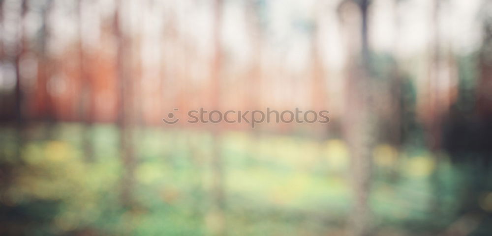 Similar – Blurred vegetation through a rainy bus window in Hong Kong