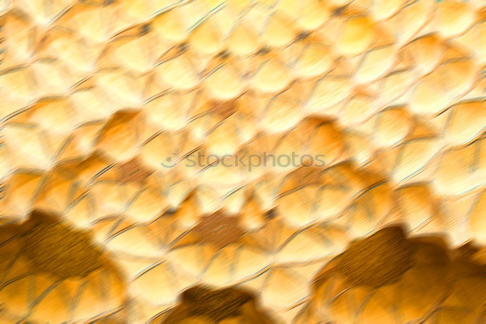 Similar – Image, Stock Photo Dr. Motte