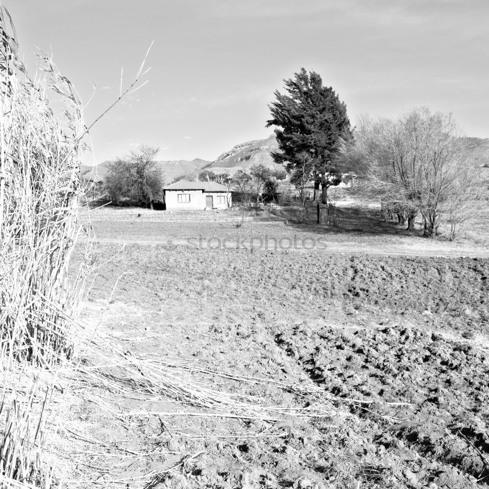 Similar – Image, Stock Photo winter walk Lifestyle