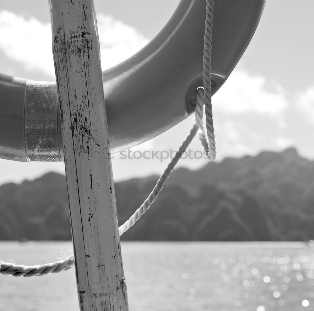 Foto Bild Reling Wasserfahrzeug Holz