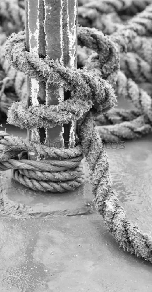 Similar – Image, Stock Photo Wood & Rope Navigation