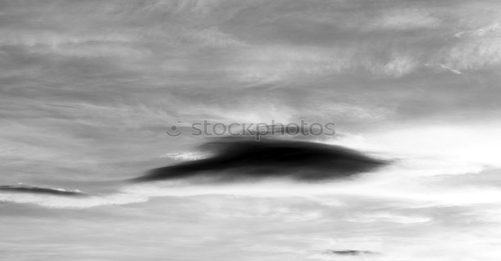 Similar – Image, Stock Photo Alone? Sheep Clouds Gale