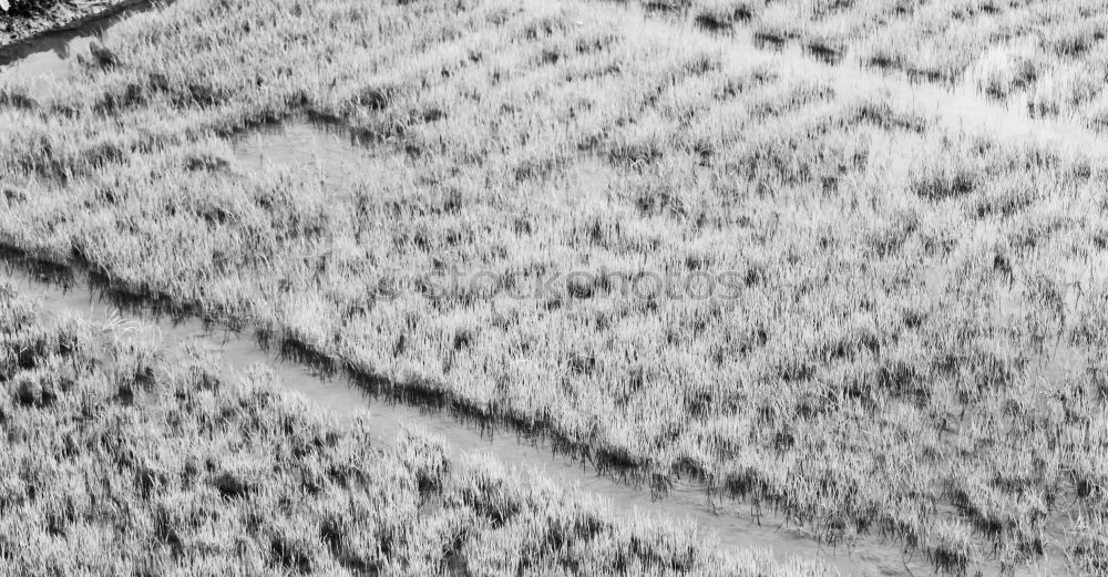 Similar – tracks Agriculture