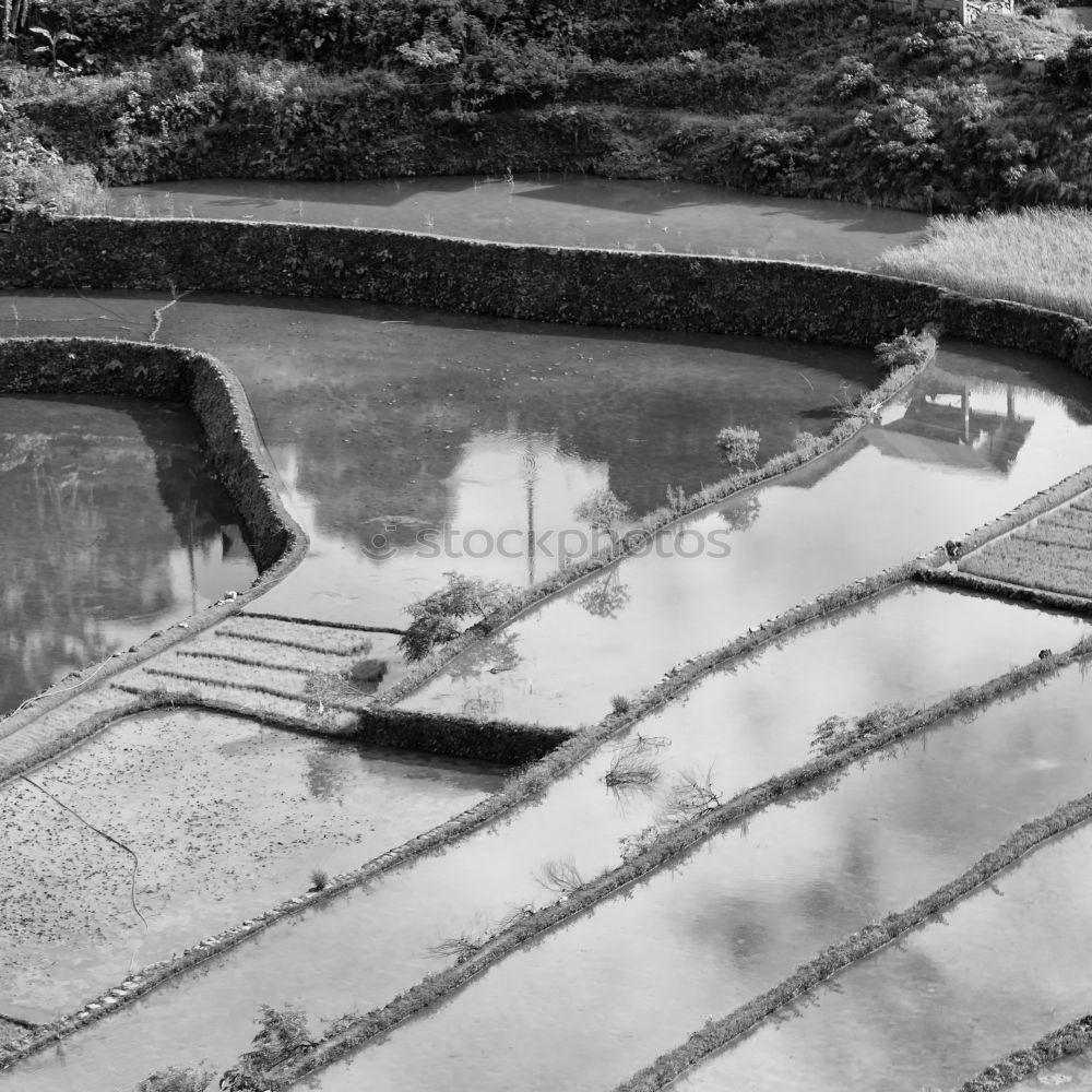 Similar – Image, Stock Photo Walking in the rain