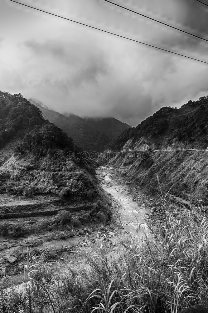 Similar – Image, Stock Photo Long path ahead. Landscape
