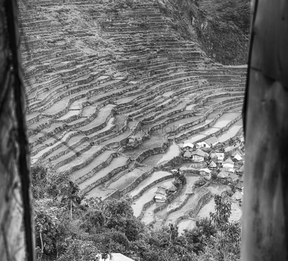 Similar – Rice terraces in Sri Lanka