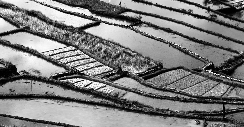 Similar – Image, Stock Photo snow tracks Snow