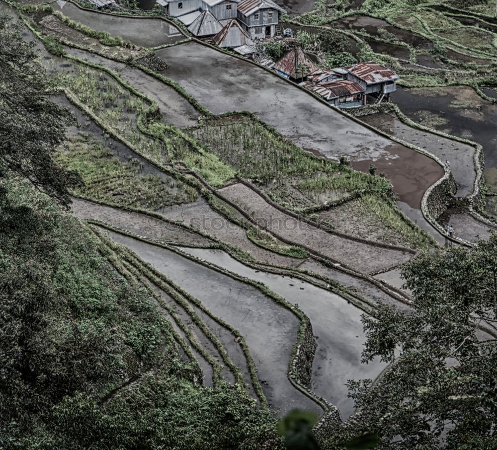 Similar – Image, Stock Photo Small village by the sea