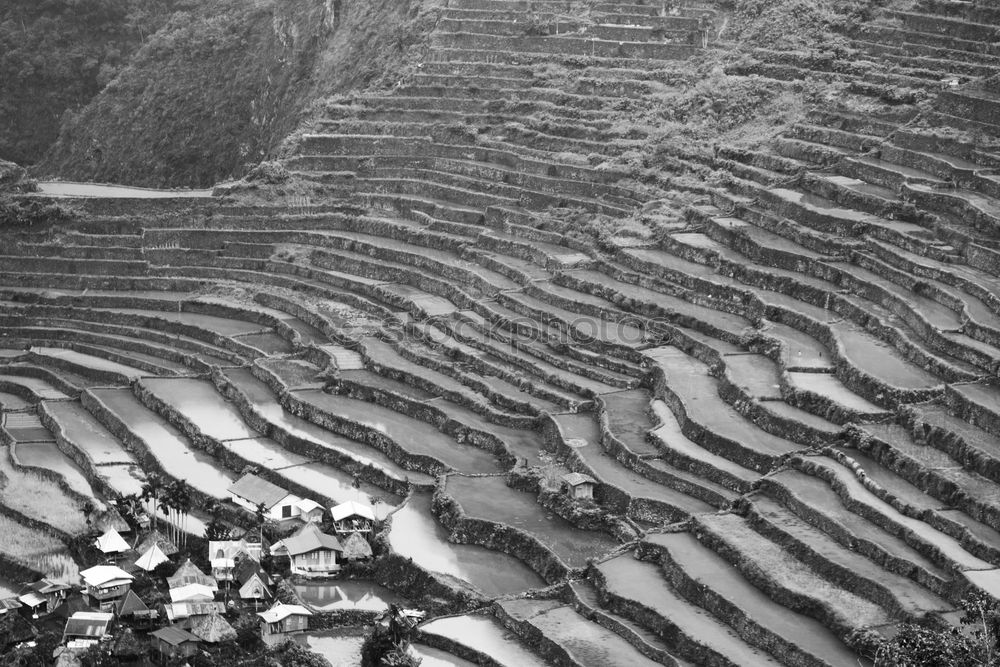 Similar – Rice terraces in Sri Lanka