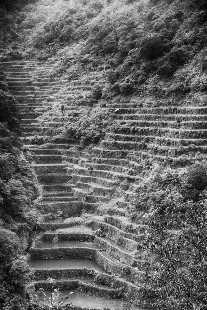 Image, Stock Photo spasimata canyon°