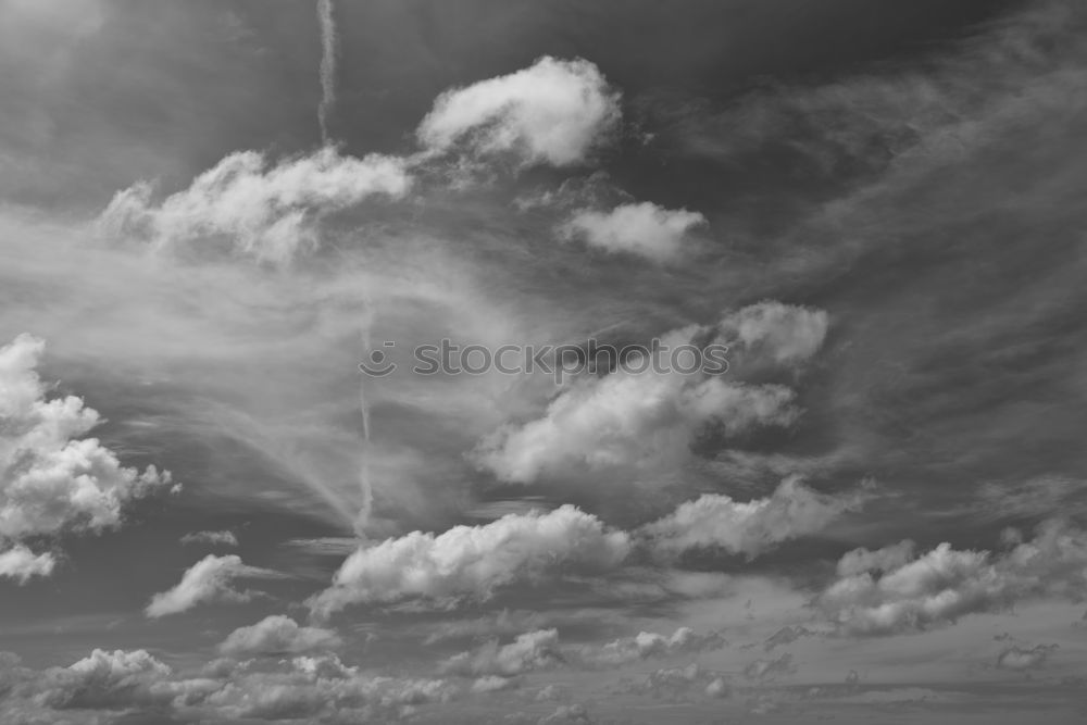 Similar – Image, Stock Photo HURRICANE. Hurricane Gale