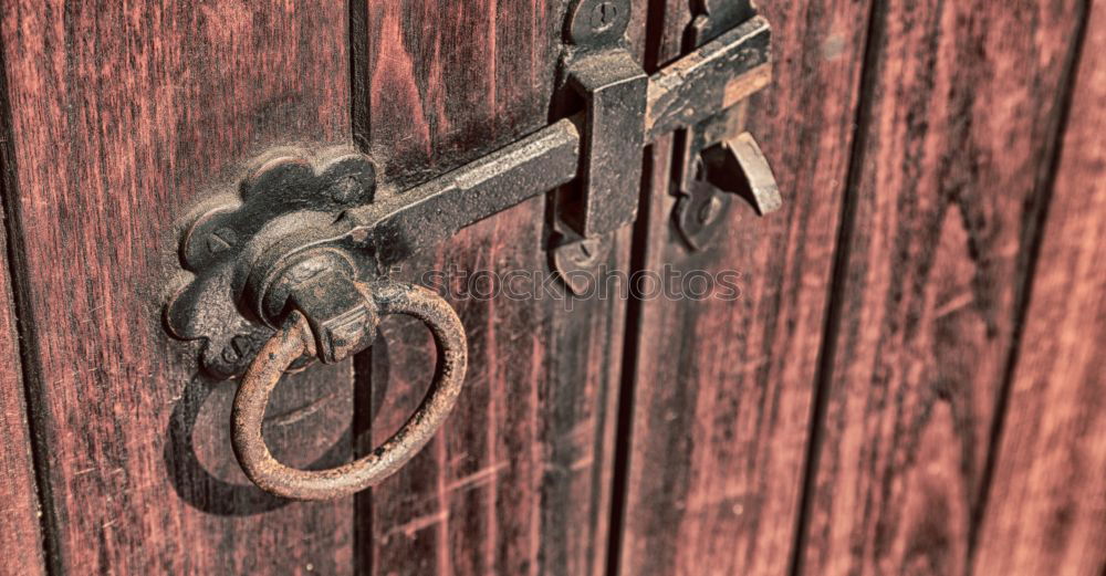 House number 37 on a dark wooden front door with crooked hook