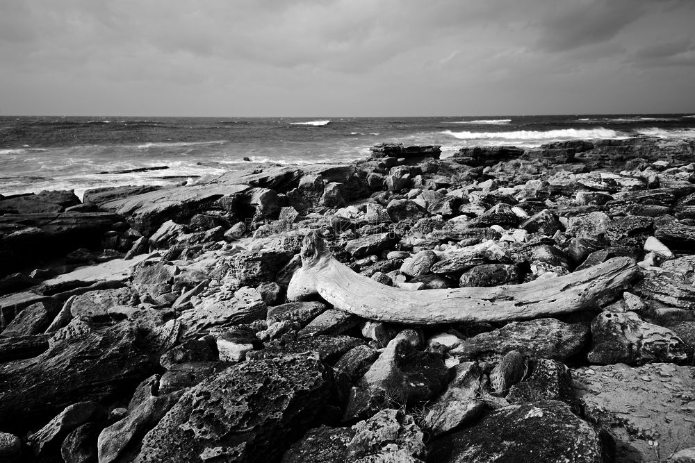 Similar – Image, Stock Photo Fehmarn Environment Nature