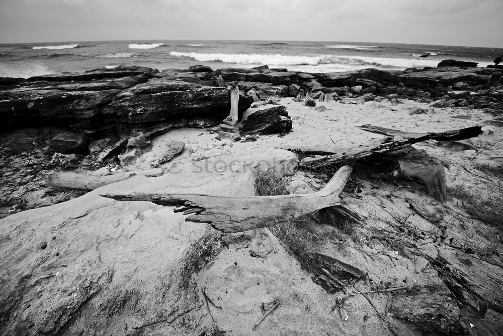 Similar – Sturm am Weststrand See