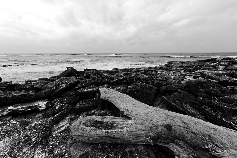 Similar – Image, Stock Photo Fehmarn Environment Nature