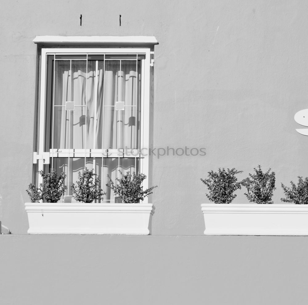 Similar – Treppe zum Montmartre