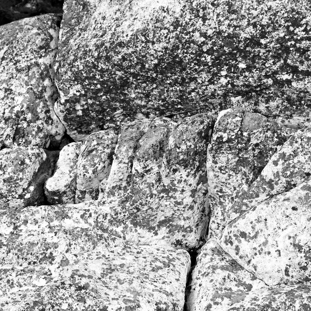 Similar – Image, Stock Photo no V Nature Rock Stone
