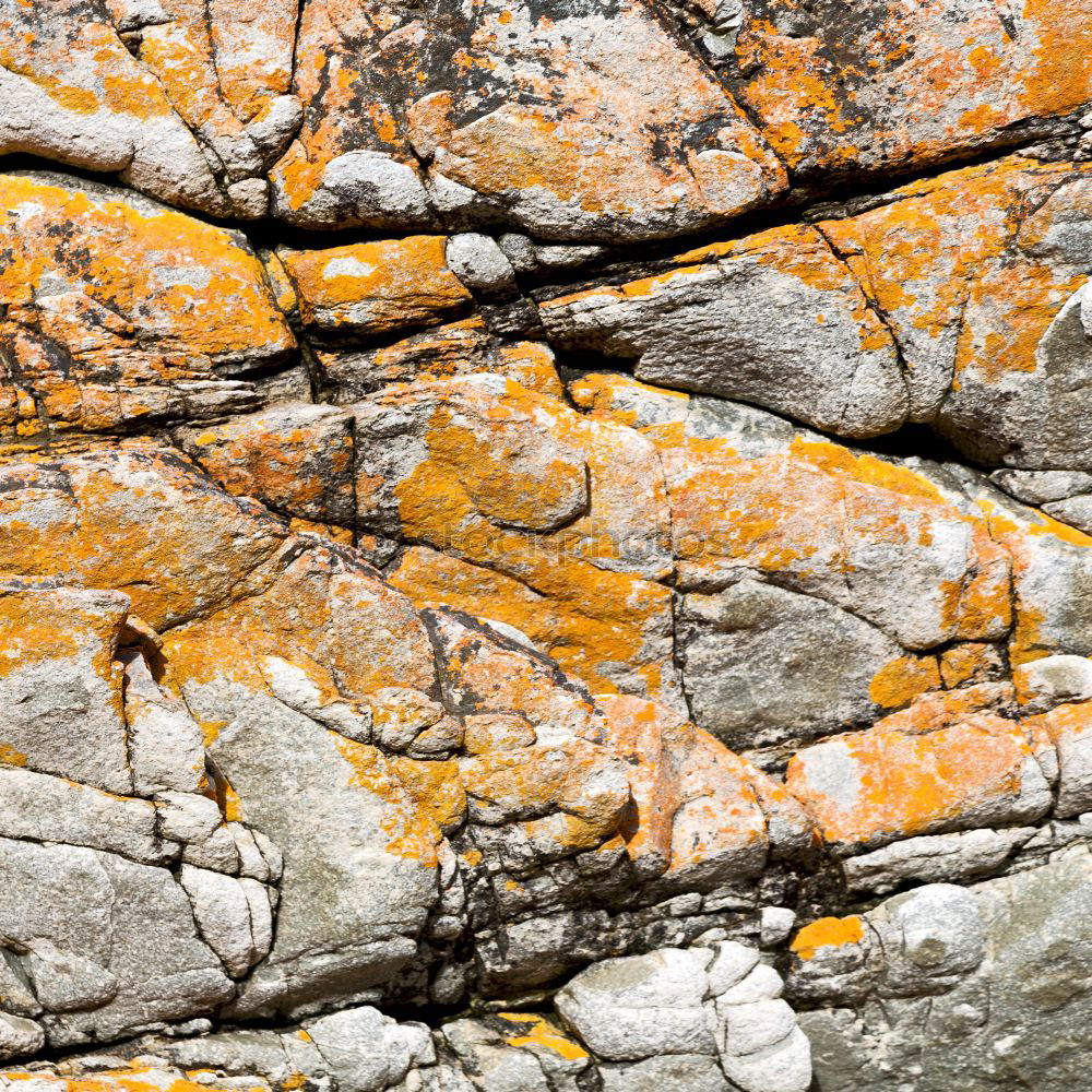 Similar – Image, Stock Photo Sedimentary rocks texture