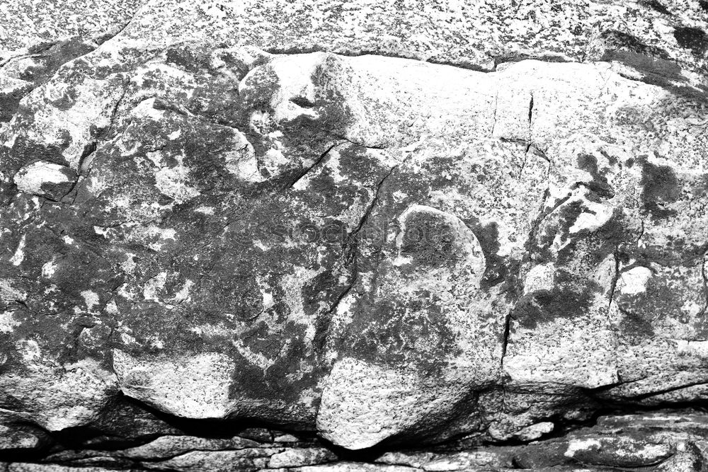 Similar – Image, Stock Photo no V Nature Rock Stone
